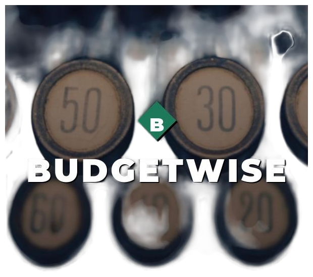 BudgetWise logo